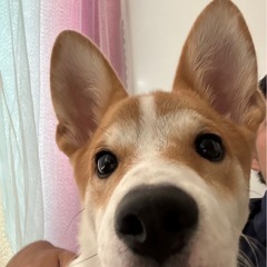 ✳︎宮古島✳︎4ヶ月の男の子