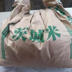 コシヒカリ精米12㎏（9月上旬精米）