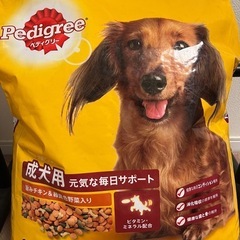 犬　餌　未開封