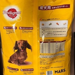 犬　餌　未開封の画像