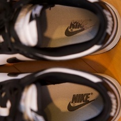 【良品】NIKE DUNK LOW パンダ  27の画像