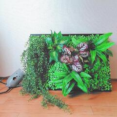 フェイクグリーンの飾りの画像