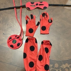 ハロウィン　衣装　
ミラキュラス　の画像