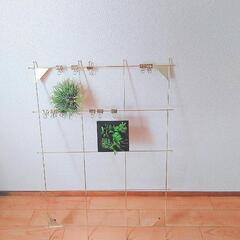 壁掛け雑貨の画像