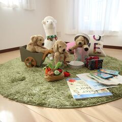 【未使用】アルパカぬいぐるみの画像