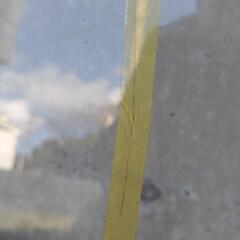 デリカスターワゴン　カーゴ　フロントガラスの画像