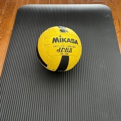 公式ドッジボールとビブ