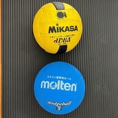 公式ドッジボールとビブの画像