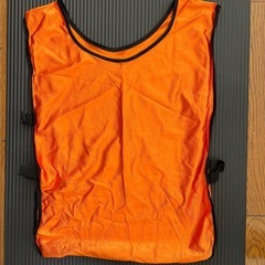 公式ドッジボールとビブの画像