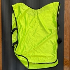 公式ドッジボールとビブの画像