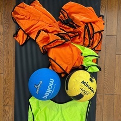 公式ドッジボールとビブの画像