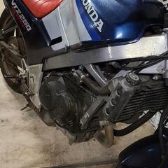 vtz250の画像