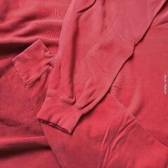 カールヘルムの画像