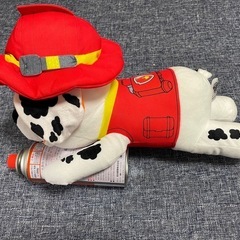 バウパトの画像