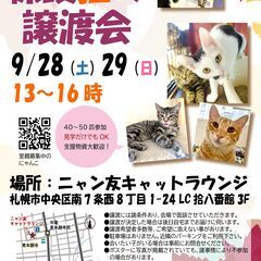 【札幌】ニャン友キャットラウンジ保護猫の譲渡会〈9/28～29〉