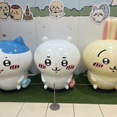 お友達募集ฅ˙Ⱉ˙ฅ - 水戸市