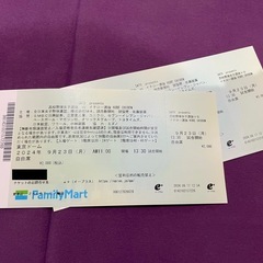 高校野球女子選抜vsイチロー選抜チケットの画像