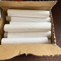 キッチンタオルの柔らかい芯　50本の画像