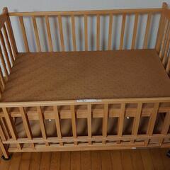 あげます　無料です　9月22日までに取りに来てくださる方にの画像