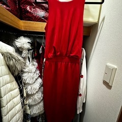 5点セットドレスの画像