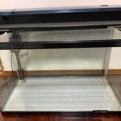 60cmガラス水槽