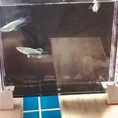 エメキン