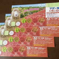 ’25 /１.31 迄 ◇ 千葉県 マザー牧場 ◇ 入園券４枚 ...