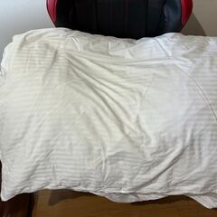 【差し上げます・豊川市諏訪西町】ダブル布団セットカバーおまけ付き