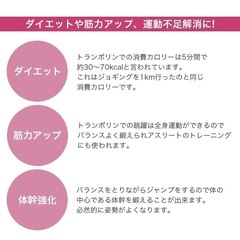 トランポリン　スポーツタイプ ゴムバンド 93cm トランポリン 家庭用 大人用 ダイエット器具  の画像