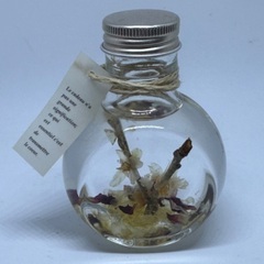 Herbarium さくら