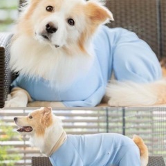 【✨新品未開封】中大型犬🐶プレサーモC31ドッグウェア