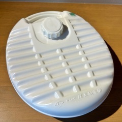 【お取引完了募集終了です】
湯たんぽAの画像