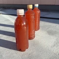 (受け渡し者決定)PSB 500ml