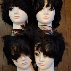 カットモデルウィッグ