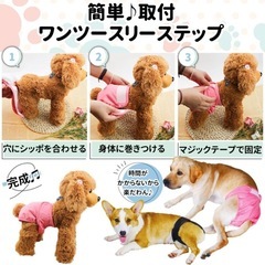 【✨新品】🐶ヒート中の女の子にもマナーパンツの画像