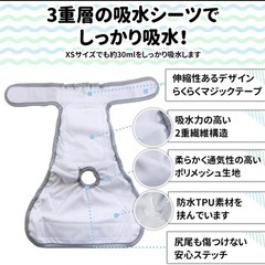 【✨新品】🐶ヒート中の女の子にもマナーパンツの画像