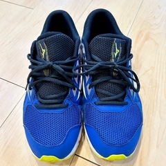 ミズノ MIZUNO マキシマイザー ランニングシューズ 