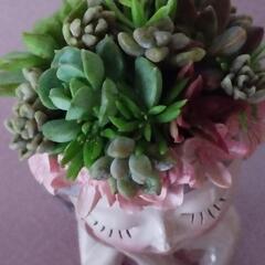 寄植え多肉植物の画像
