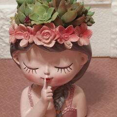 可愛い💞多肉植物