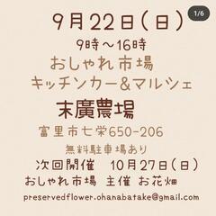 ◆まつめだか◆9月22日（日）🎪末廣農場🎪メダカ販売