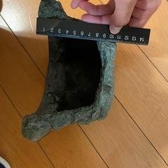 カメ、爬虫類シェルターの画像