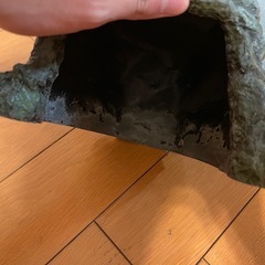 カメ、爬虫類シェルターの画像