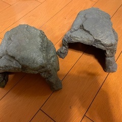 カメ、爬虫類シェルターの画像