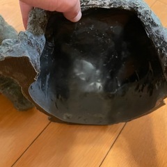 カメ、爬虫類シェルターの画像