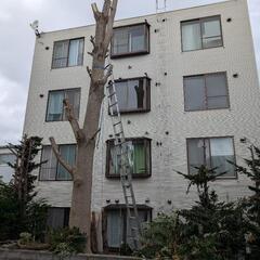薪！栄通り10丁目原木を持っていってください