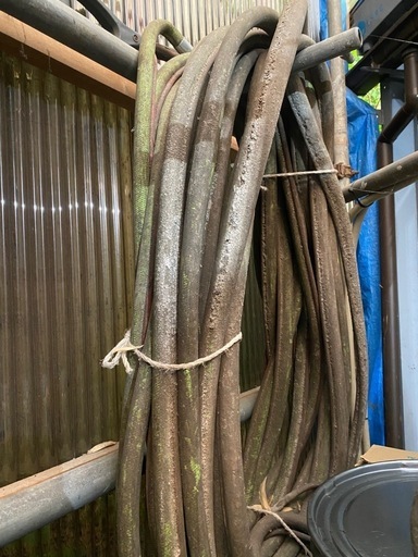 すくいず君 建築塗装ペンキ