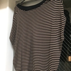 半袖ストライプ茶色の画像