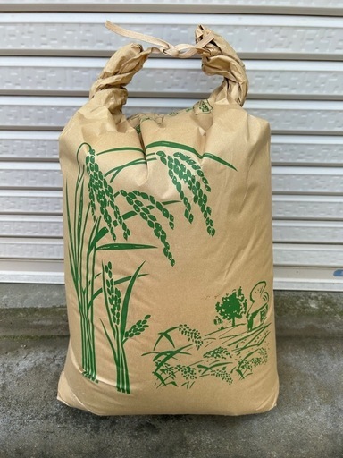 令和5年度、コシヒカリを販売いたします。