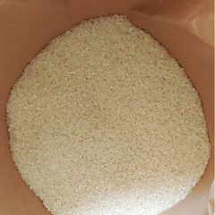 ゆめぴりか新米10キロ