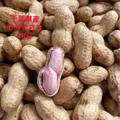 落花生　おおまさり　1KG